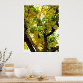 Goldener Duschbaum Poster (Küche)