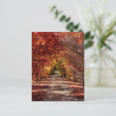 Goldener Fall Postkarte (Stehend Vorderseite)