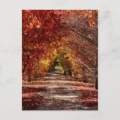 Goldener Fall Postkarte (Vorderseite)