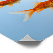 Goldener Fisch und Hai Poster (Ecke)