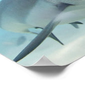 Goldener Fisch und Hai Poster (Ecke)