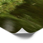 Goldener Fluss Calm Poster (Ecke)