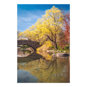 Goldener Frühling  Fotodruck