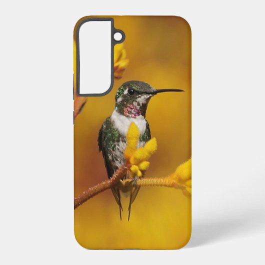 Goldener Glanz Samsung Galaxy Hülle (Rückseite)