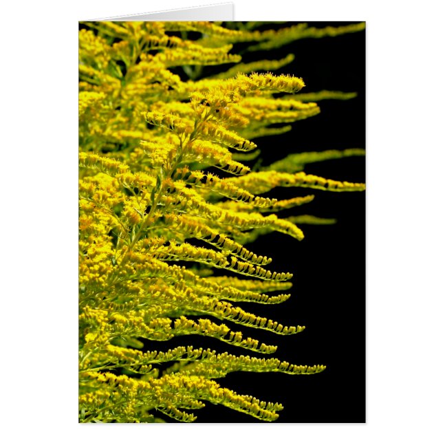 Goldener Golddiamant (Vorne)