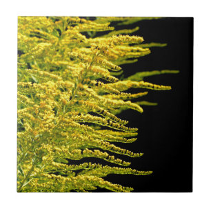 Goldener Golddiamant Fliese