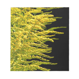 Goldener Golddiamant Notizblock