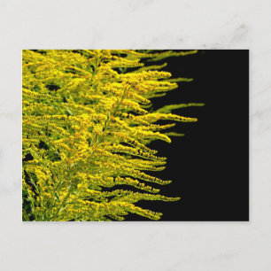 Goldener Golddiamant Postkarte