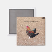Goldener Hahn-Magnet Magnet (Vorderseite/Rückseite)