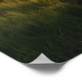 Goldener Hain Sonnenaufgang - ruhige Sonnenstrahle Poster (Ecke)