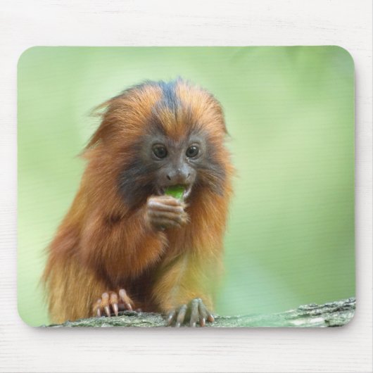 Goldener HauptKnabe Mousepad (Vorne)