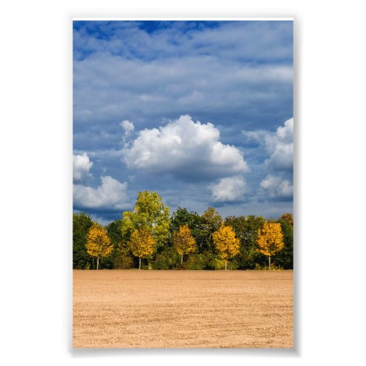 Goldener Herbst Fotodruck (Vorne)