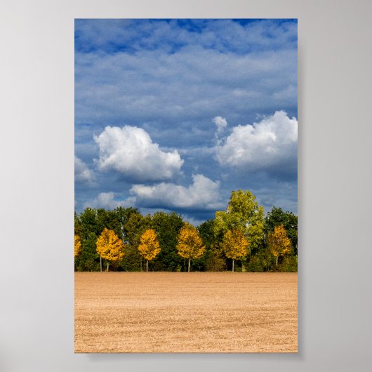 Goldener Herbst Poster (Vorne)