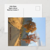 Goldener Herbst... Postkarte (Vorne/Hinten)