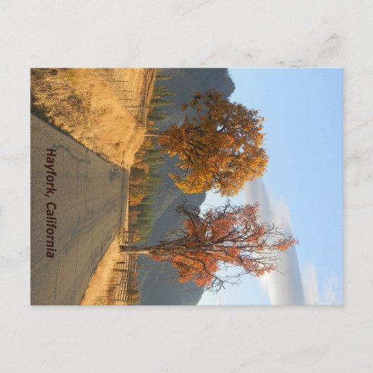 Goldener Herbst... Postkarte (Vorderseite)