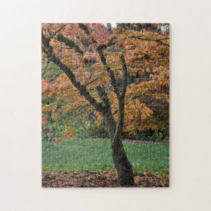 Goldener Herbstbaum Puzzle