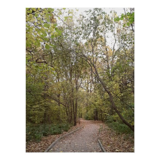 Goldener Herbstwaldweg Poster (Vorderseite)
