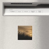 goldener Himmel Magnet (In Situ (Geschirrspüler))