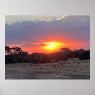 Goldener Horizont – Afrikanischer Safari-Sonnenunt Poster