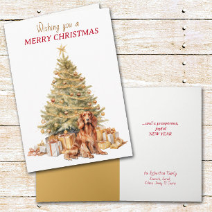 Goldener Irish Setter Hund Weihnachten