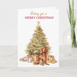 Goldener Irish Setter Hund Weihnachten