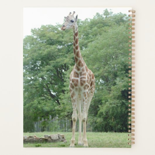 Goldener Jahrestag Planer (Rückseite)