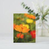 Goldener Kosmos ［ Postkarte ］ (Stehend Vorderseite)