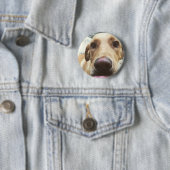 Goldener Labrador Button (Beispiel)