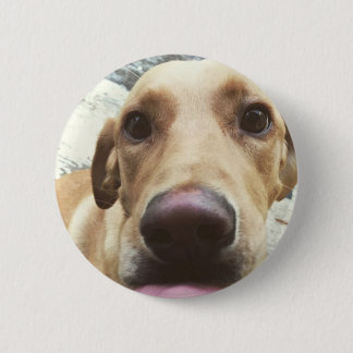Goldener Labrador Button