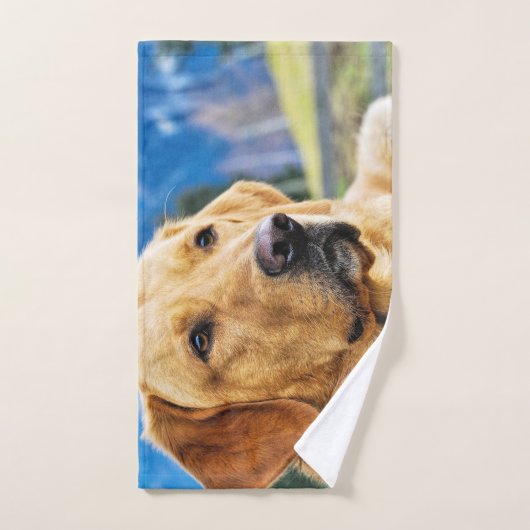 Goldener Labrador Handtuch (Handtuch)