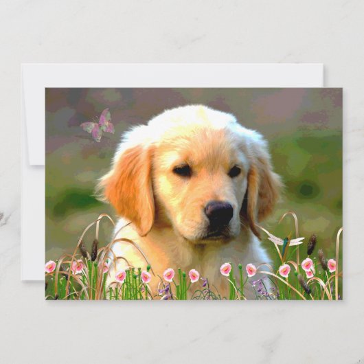 Goldener Labrador Welpe Austins Einladung (Vorderseite)