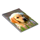 Goldener Labrador Welpe Austins Notizblock (Rechte Seite)