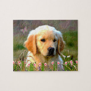 Goldener Labrador Welpe Austins Puzzle