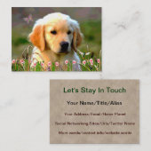 Goldener Labrador Welpe Austins Visitenkarte (Vorne/Hinten)