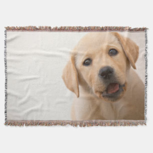 Goldener Labrador-Welpe Decke