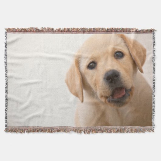 Goldener Labrador-Welpe Decke (Vorderseite)