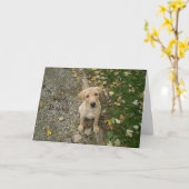Goldener Labrador-Welpe Karte (Gelbe Blume)
