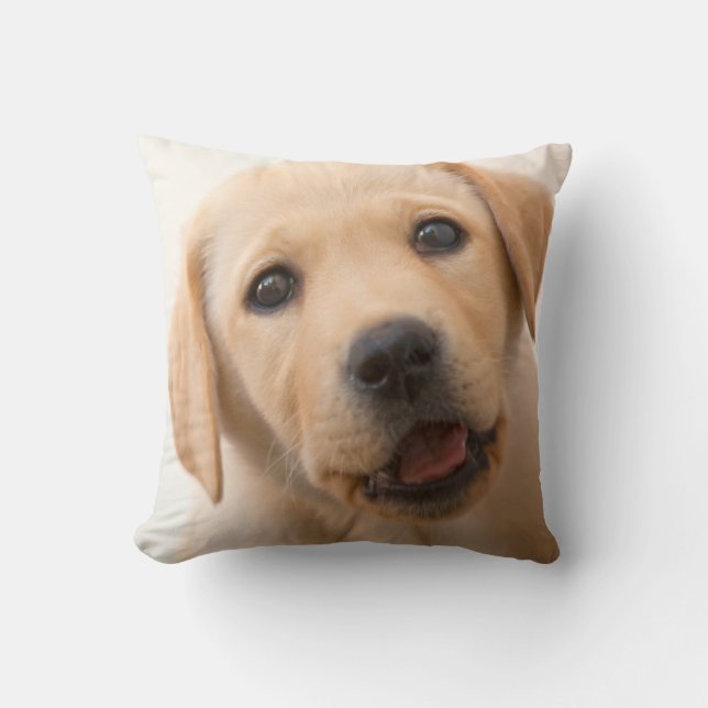 Goldener Labrador-Welpe Kissen (Vorderseite)