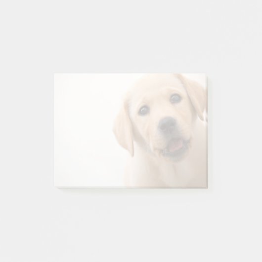 Goldener Labrador-Welpe Post-it Klebezettel (Vorderseite)