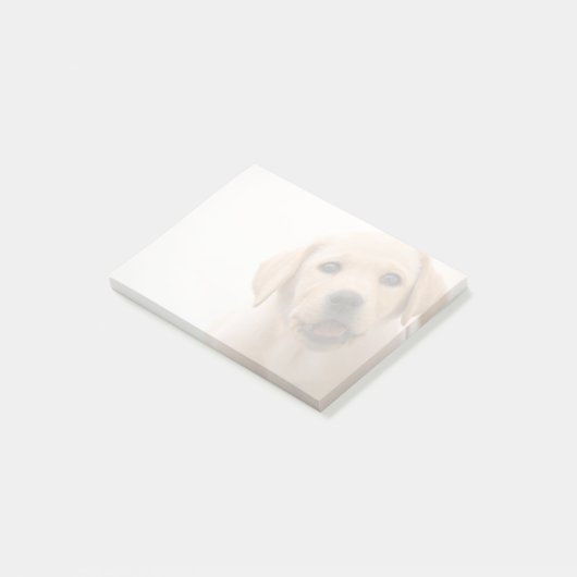 Goldener Labrador-Welpe Post-it Klebezettel (angewinkelt)