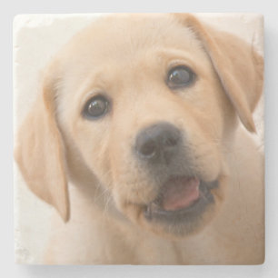 Goldener Labrador-Welpe Steinuntersetzer