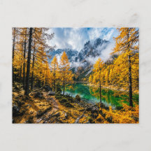 Goldener Lärchenwald am Bergsee