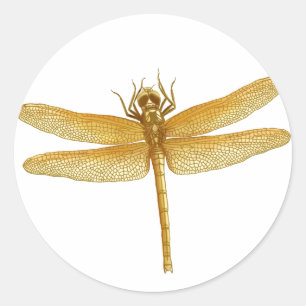 Goldener Libellen-Aufkleber Runder Aufkleber