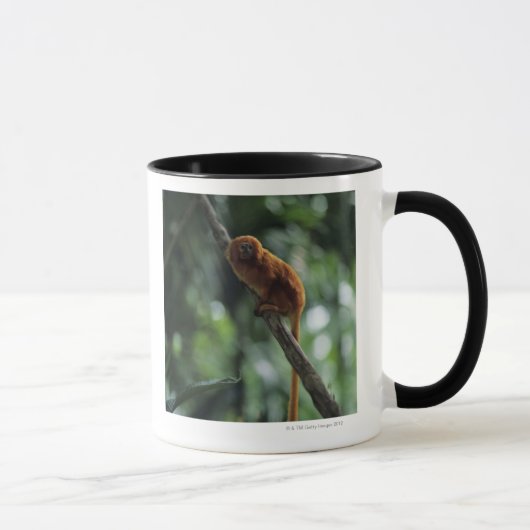 Goldener Löwe Tamarin (Leontopithecus rosalia) Tasse (Rechts)