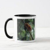 Goldener Löwe Tamarin (Leontopithecus rosalia) Tasse (Links)