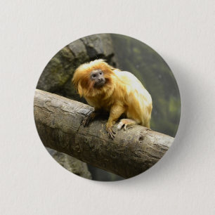 Goldener LöweTamarin Button
