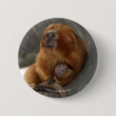 Goldener LöweTamarin mit Baby 2 Button (Vorderseite)