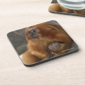 Goldener LöweTamarin mit Baby Getränkeuntersetzer (Linke Seite)