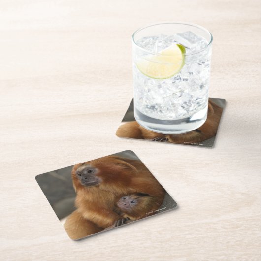 Goldener LöweTamarin mit Baby Rechteckiger Pappuntersetzer (Vor Ort)