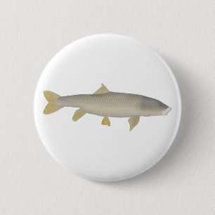 Goldener Mahseer Button